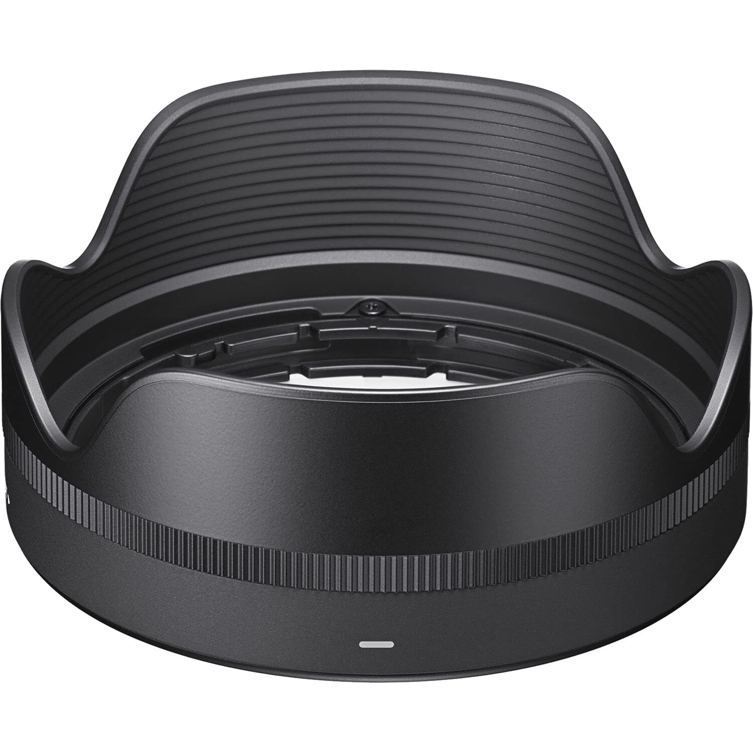 Amazon.com : 18-50mm F2.8 DC DN Contemporary for L Mount